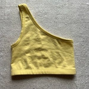 Zara Off the Shoulder Crop